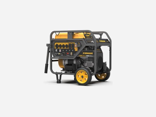 P12002 Portable Generator